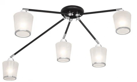 Спот Silver Light Dresden 136.59.5