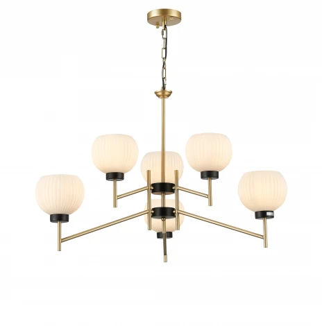 Подвесная люстра Simple Story 1142 1142-6PL