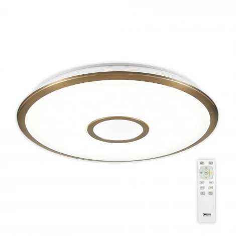 Потолочный светильник Citilux Старлайт R CL70363R