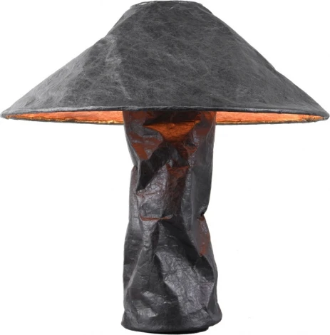 Настольная лампа Lussole LSP-0823 (220V, выключатель)