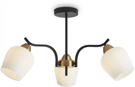 Потолочная люстра на штанге Freya Shadow FR5422PL-03BZ