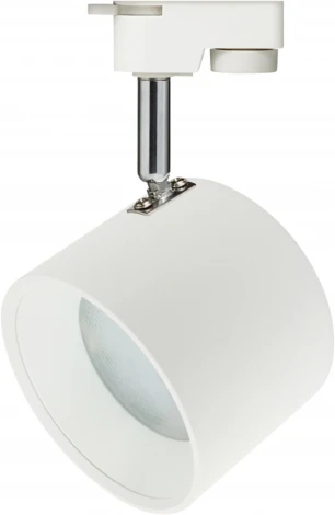 Трековый светильник ЭРА TR15 GX53 WH/SL (220V)