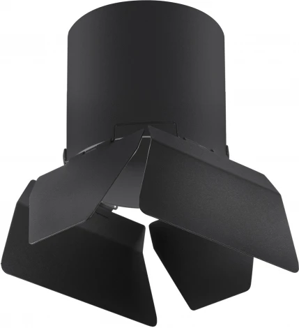 Светильник точечный накладной Lightstar Rullo R3487487 (220V)