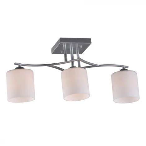 Потолочная люстра Omnilux Pisticci OML-55307-03 (220V)