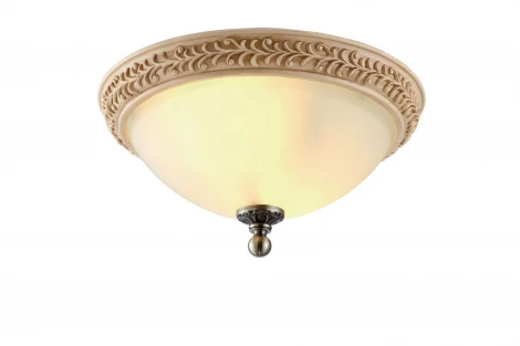 Потолочный светильник Arte Lamp Ivory A9070PL-2AB