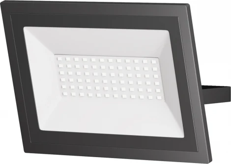 Прожектор уличный светодиодный Maytoni Flood FL001-L50B6K (220V, IP65)