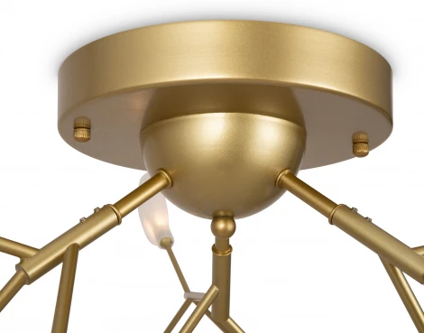 Потолочная люстра на штанге Florencia FR5049CL-27G Freya (220V, лепестки, ветки)