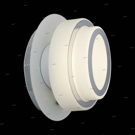 Настенно-потолочный светильник ST Luce Ovale SL546.501.01