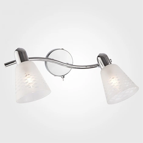 Спот Eurosvet Organic 20053/2 хром