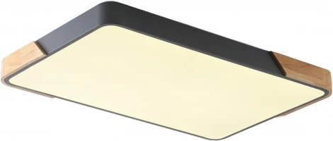 Потолочный светильник Zortes Alberro ZRS.01277.60