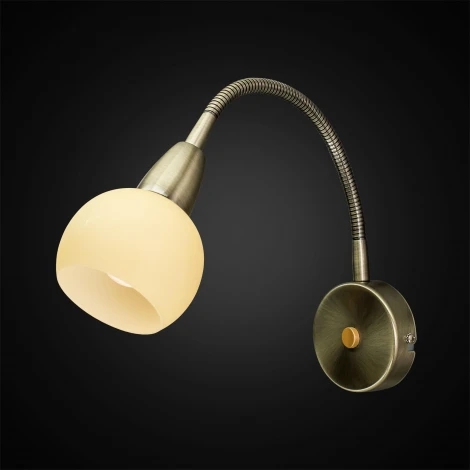 Настенный светильник Citilux Бонго CL516313