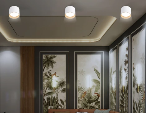 Накладной точечный светильник Ambrella Techno Spot TN5304 (220V, круглые)