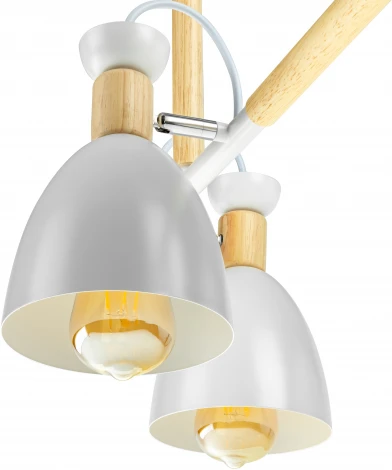 Потолочная люстра на штанге Ritter Volante 52501 1