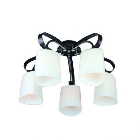 Потолочная люстра Omnilux OML-280 OML-28007-05