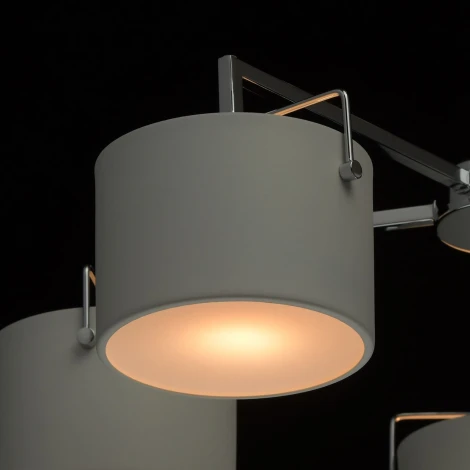 Потолочная люстра MW-Light Сайрус 721010308
