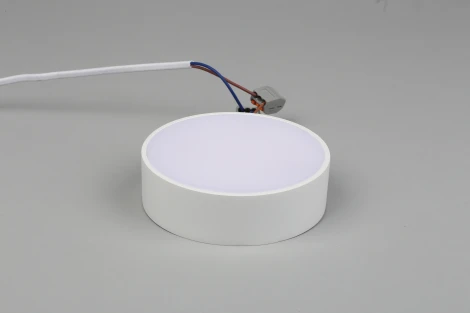 Потолочный светильник круглый Aployt Evon APL.0114.09.12 (LED, 220V, круглые)