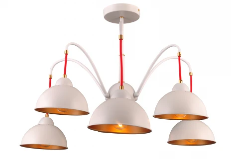 Потолочная люстра J-Light Flo 1839/6C