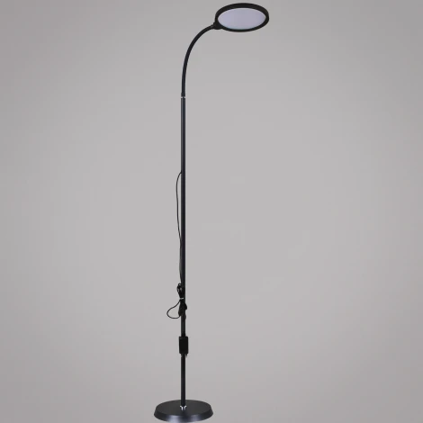 Торшер светодиодный с таймером с регулировкой цветовой температуры и яркости Reluce 00071-0.7-01 BK