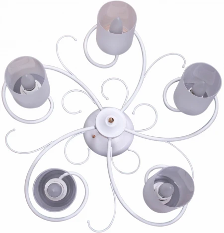 Потолочная люстра на штанге Reluce 00738-0.3-05 (220V)