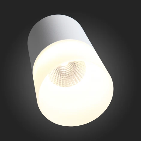 Накладной точечный светильник ST Luce Ottu ST100.502.05 (LED, 220V, круглые)