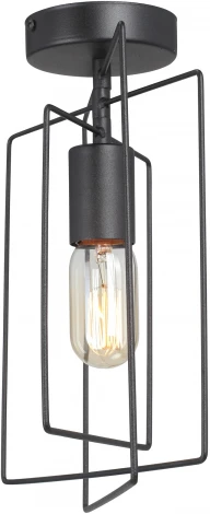 Потолочный светильник Vitaluce V3793-1/1PL, 1xE27 макс. 40Вт (220V)