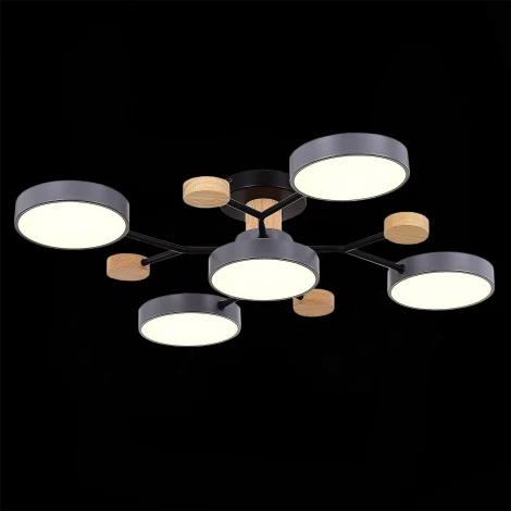 Потолочная люстра на штанге Evoluce Faema SLE6006-702-05