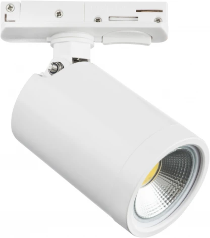 Трековый светильник однофазный Lightstar Rullo 212936 (220V, круглые)