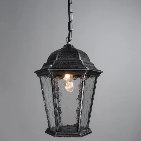 Уличный светильник подвесной Arte Lamp Genova A1205SO-1BS