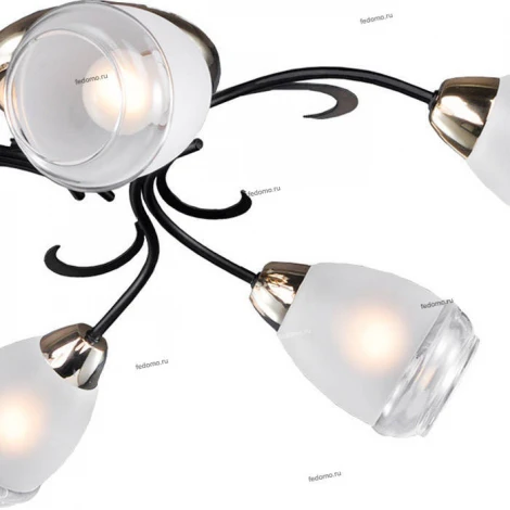 Потолочная люстра Lussole Lgo Oakland LSP-9952