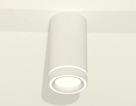 Накладной точечный светильник Ambrella Techno Spot XS8161004 (220V, круглые)