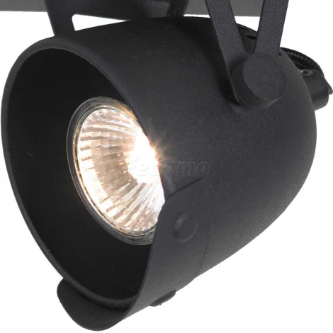 Спот-прожектор Lussole Loft Montgomery LSP-9505 (220V, IP21)