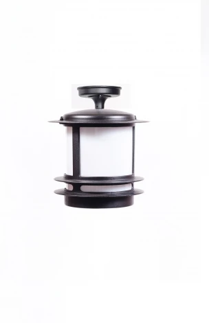 Потолочный светильник уличный Oasis Light TOKIO 68305A Bl opal (220V, фонарь, IP44)