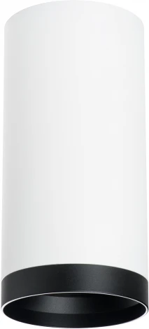 Точечный светильник накладной Lightstar Rullo R64863487 (220V, круглые)