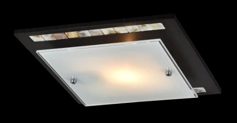 Настенно-потолочный светильник Freya Simmetria FR4810-CL-01-BR