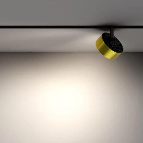 Трековый светильник магнитный 48V Maytoni Rado TR040-2-18W4K-BBS (LED, круглые)