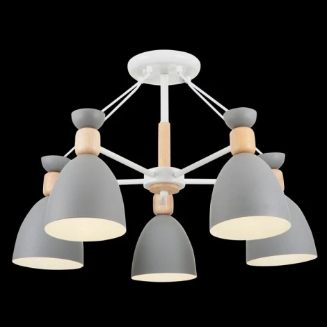 Потолочная люстра Freya Delia FR5033CL-05W