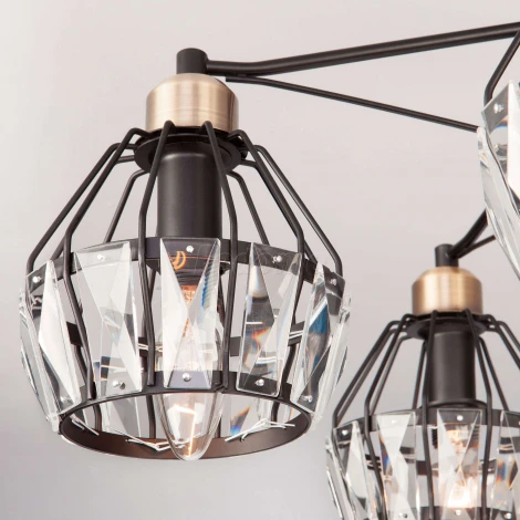 Потолочная люстра Eurosvet Lord 70075/5 черный (220V)