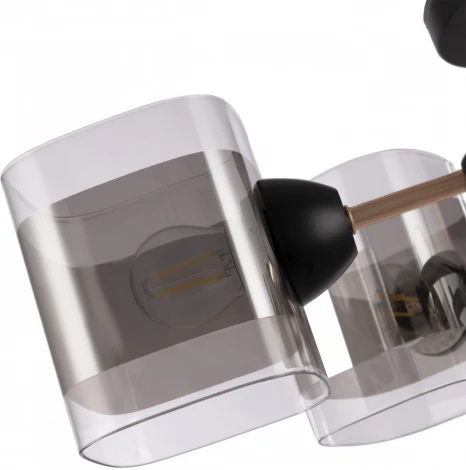 Потолочная люстра на штанге Arte Milano AMALFI 324308/6 BK+FG (220V)