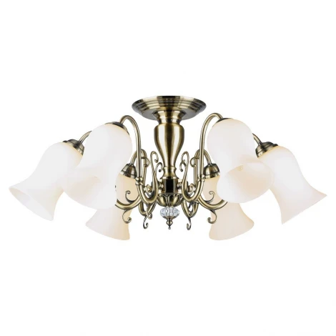 Потолочная люстра Lussole Lgo Anaheim GRLSP-8026 (220V, IP21)