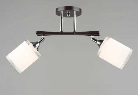 Потолочная люстра на штанге Мелодия Света SL1N SL9079-2 CF+CR 000066028