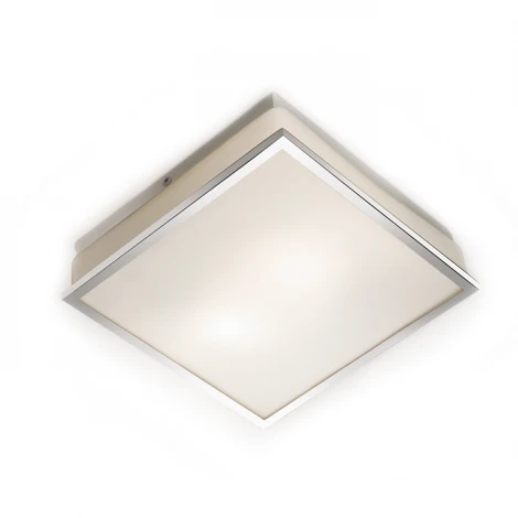 Настенно-потолочный светильник Odeon Light Tela 2537/2C