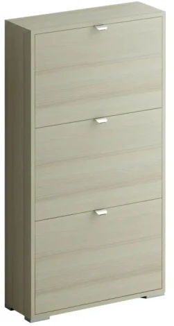 Шкаф для обуви Reggy 3 ОГОГО 332394