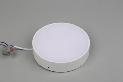 Потолочный светильник круглый Aployt Evon APL.0114.09.18 (LED, 220V, круглые)