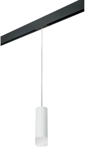 Трековый светильник однофазный 220V Lightstar Rullo PRORP48631 (круглые)