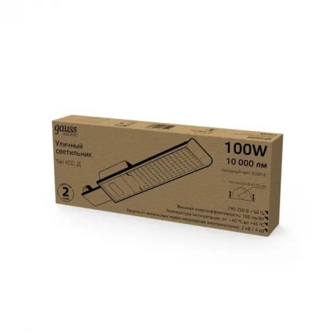 Уличный консольный светильник светодиодный Avenue КСС "Д" 629536300 (220V, IP65)