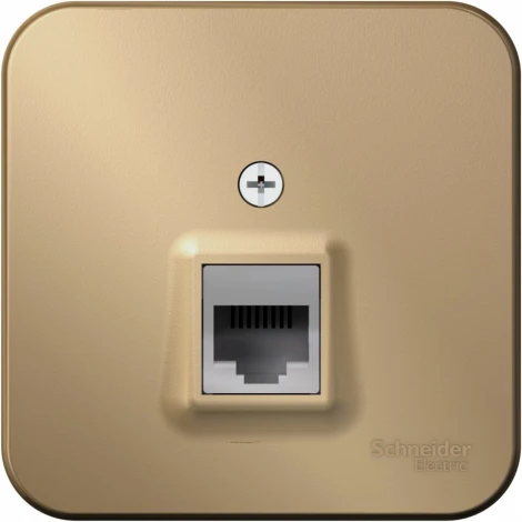 Розетка накладная Ethernet RJ-45 (титан) Systeme Electric Blanca BLNIA045004