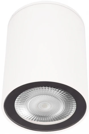 Накладной светильник Loft It Rush 10344 White (220V, круглые)