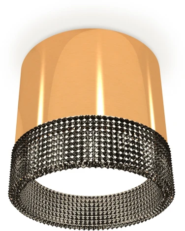 Накладной точечный светильник Ambrella Techno Spot XS8121021 (220V, круглые)