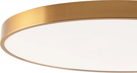 Потолочный светильник круглый светодиодный Zortes Tortty ZRS.02566.120 (220V, круглые, IP21)