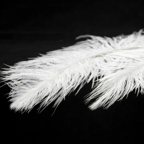 Подвесная люстра Cuscino GRLSP-8600 Lussole (220V, на проводе, перо)